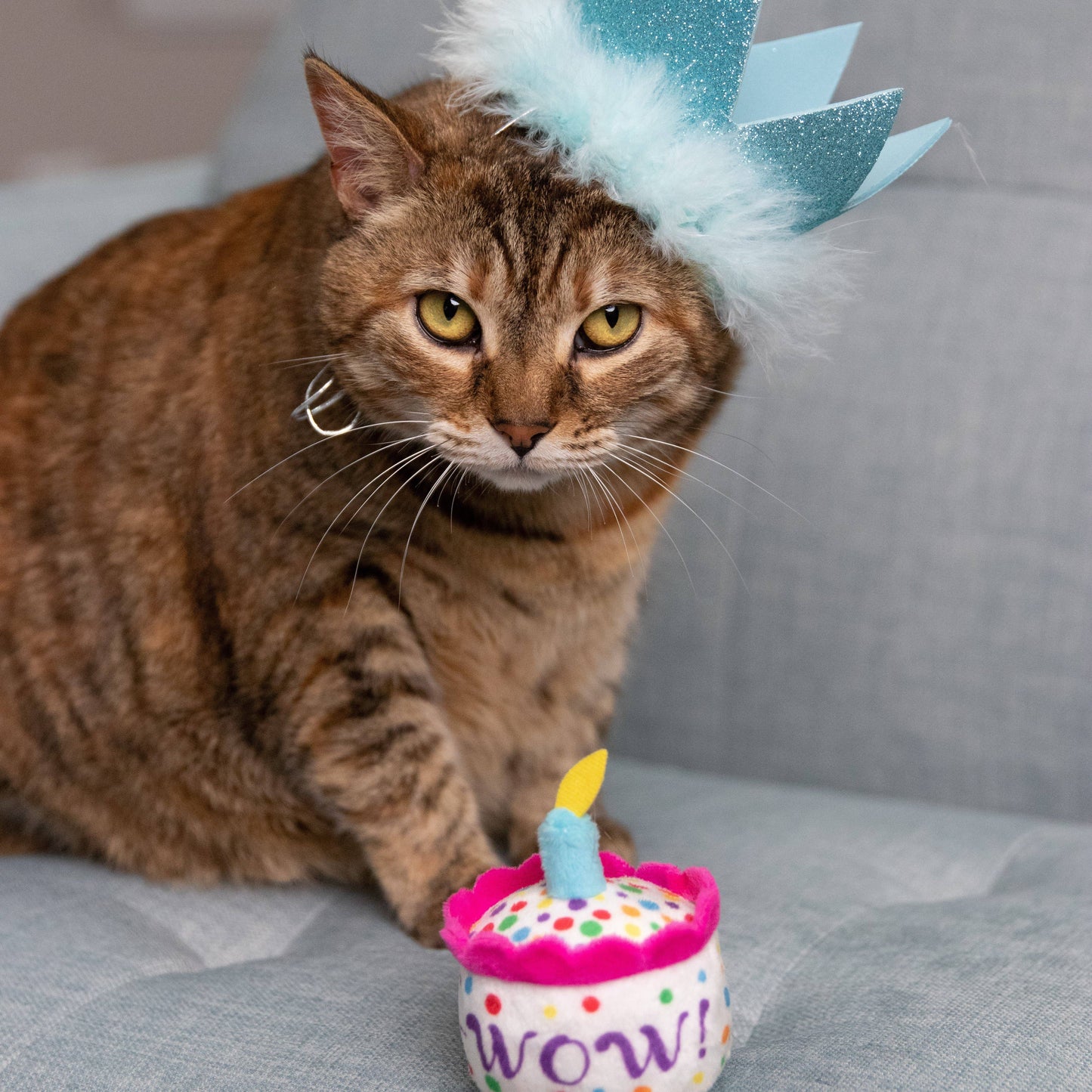 Party Crown Blue with SnugFit®