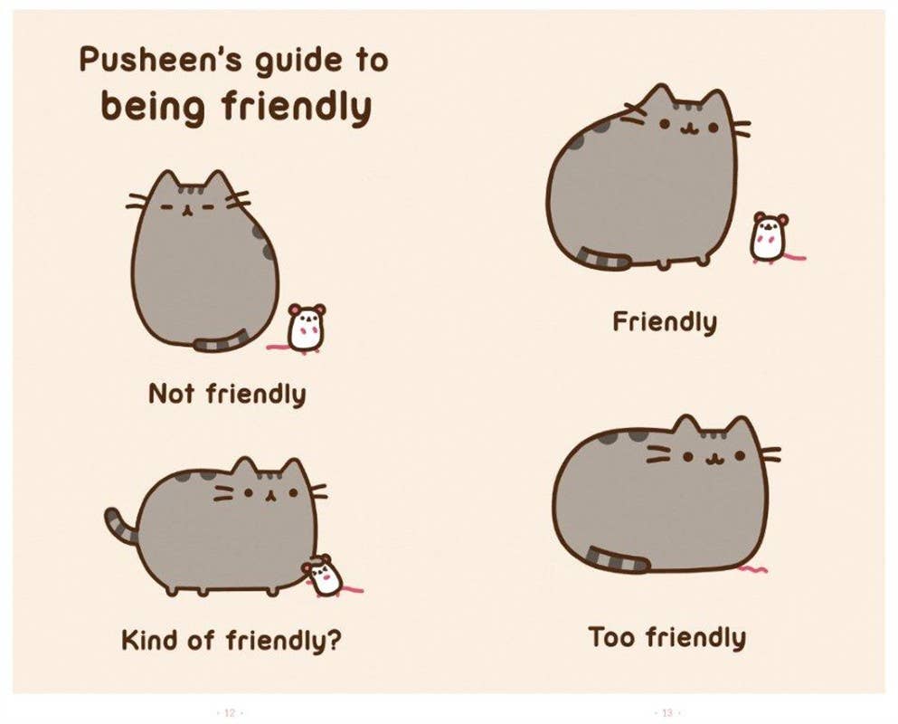 I Am Pusheen the Cat by Claire Belton