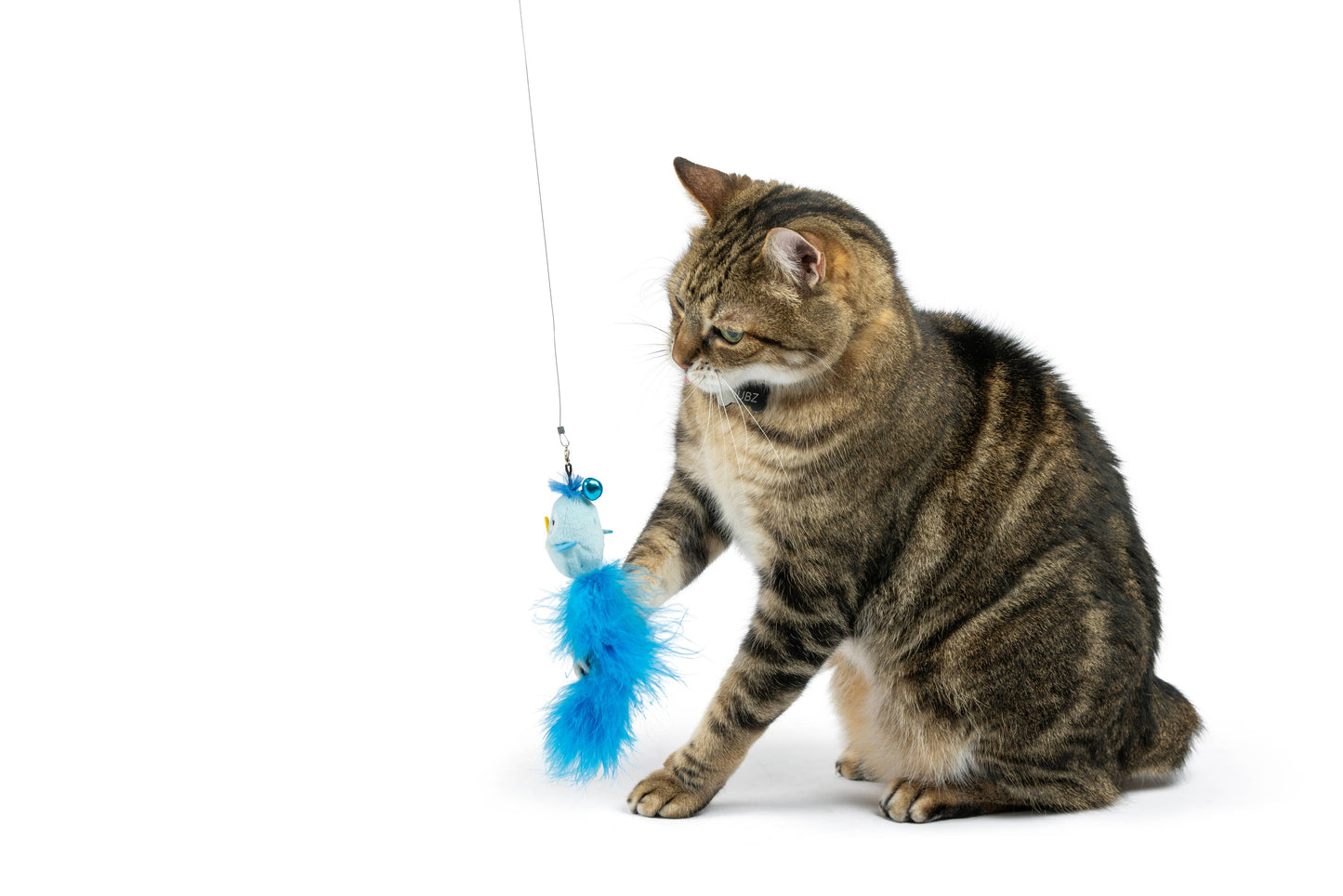 Blue Birdy Feather Teasers 2pk Refill Cat Toy