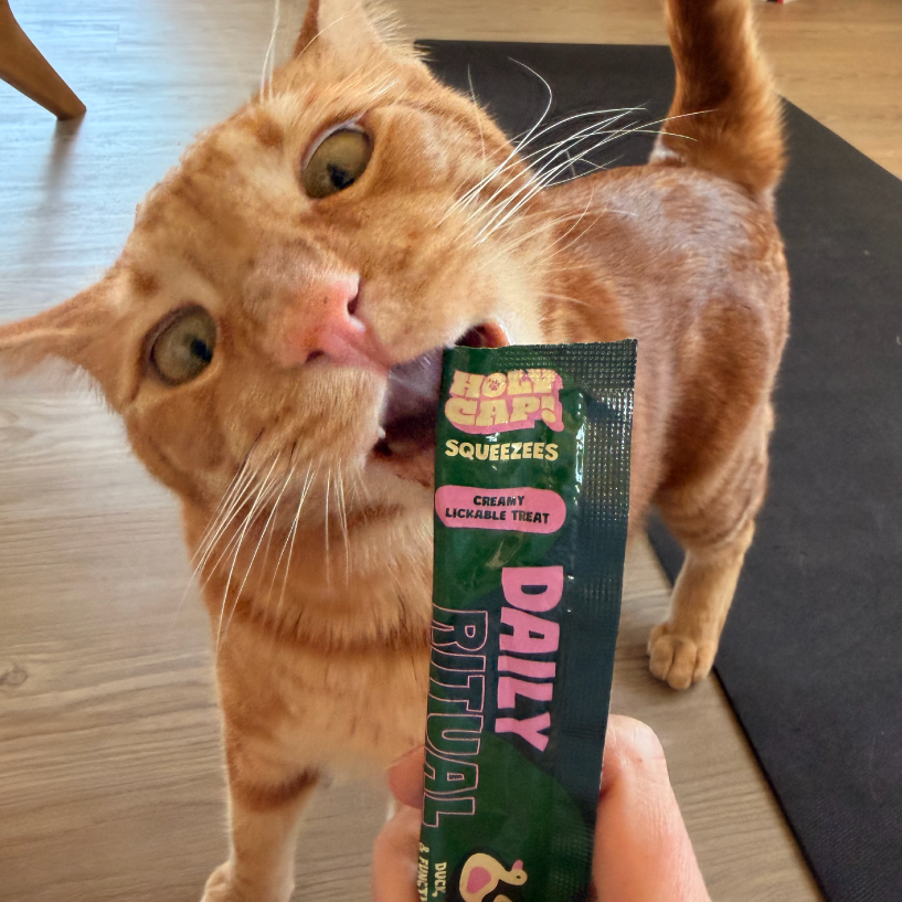 HOLY CAP Squeezees (CAT) Daily Ritual Lickable Treats, 5pc