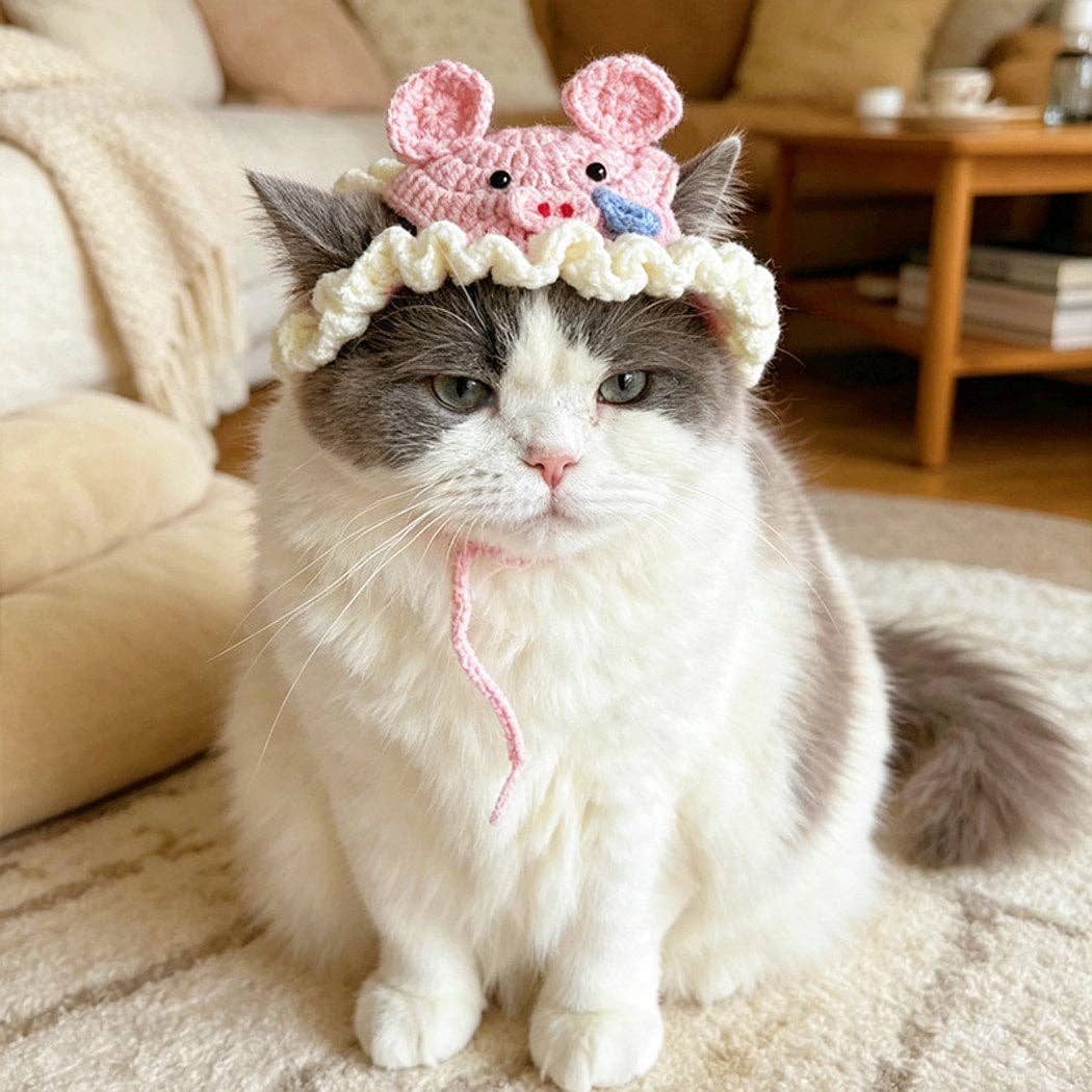 Playful Pet Tie Straps Hat