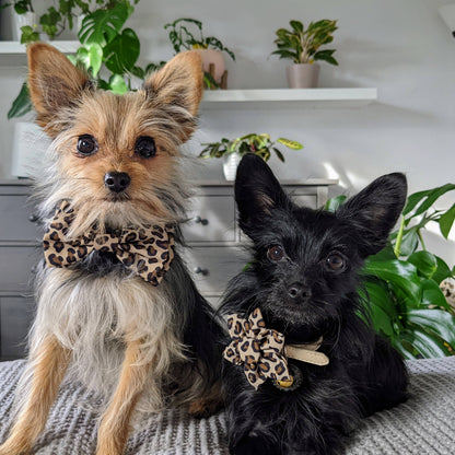 Huxley & Kent - Tan Leopard Bow Tie