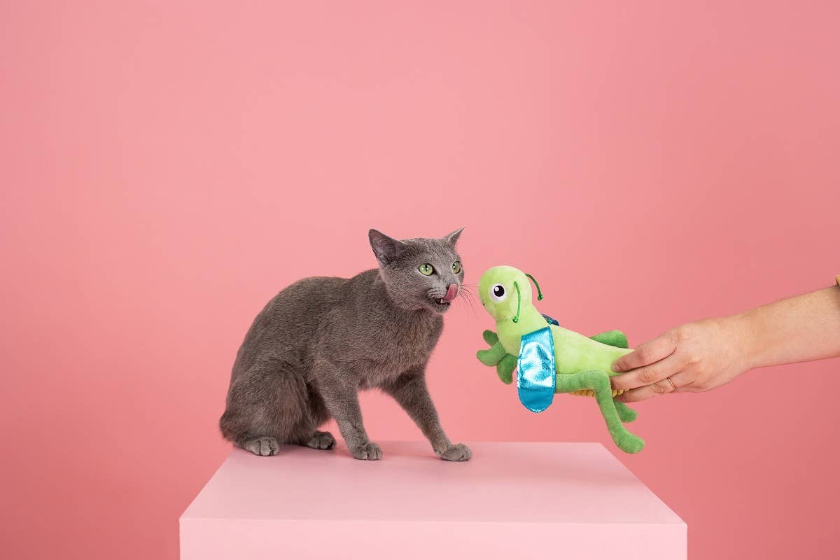 PetShop by Fringe Studio Hop On By Kicker Cat Toy