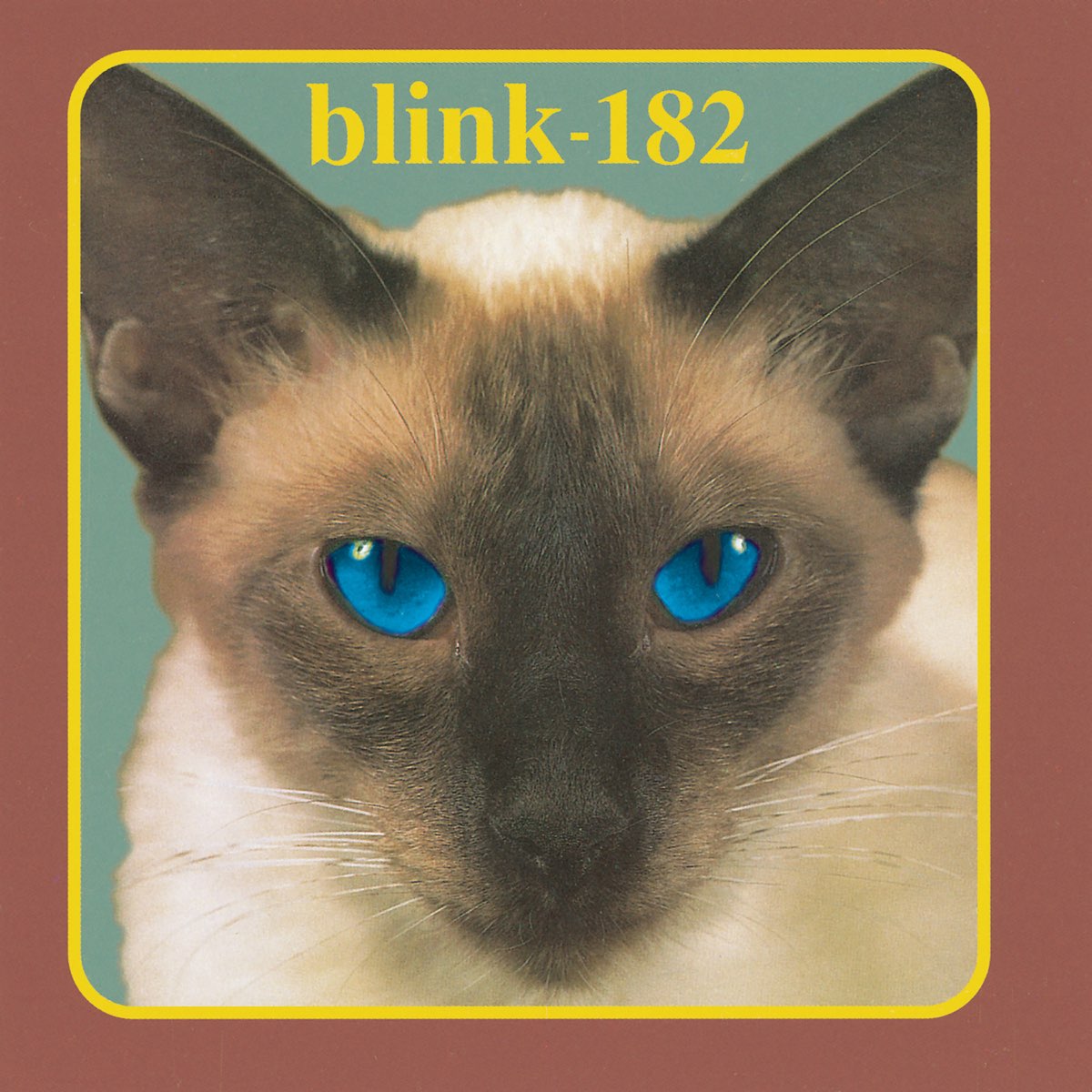 Cheshire Cat. Blink 182. 1995.