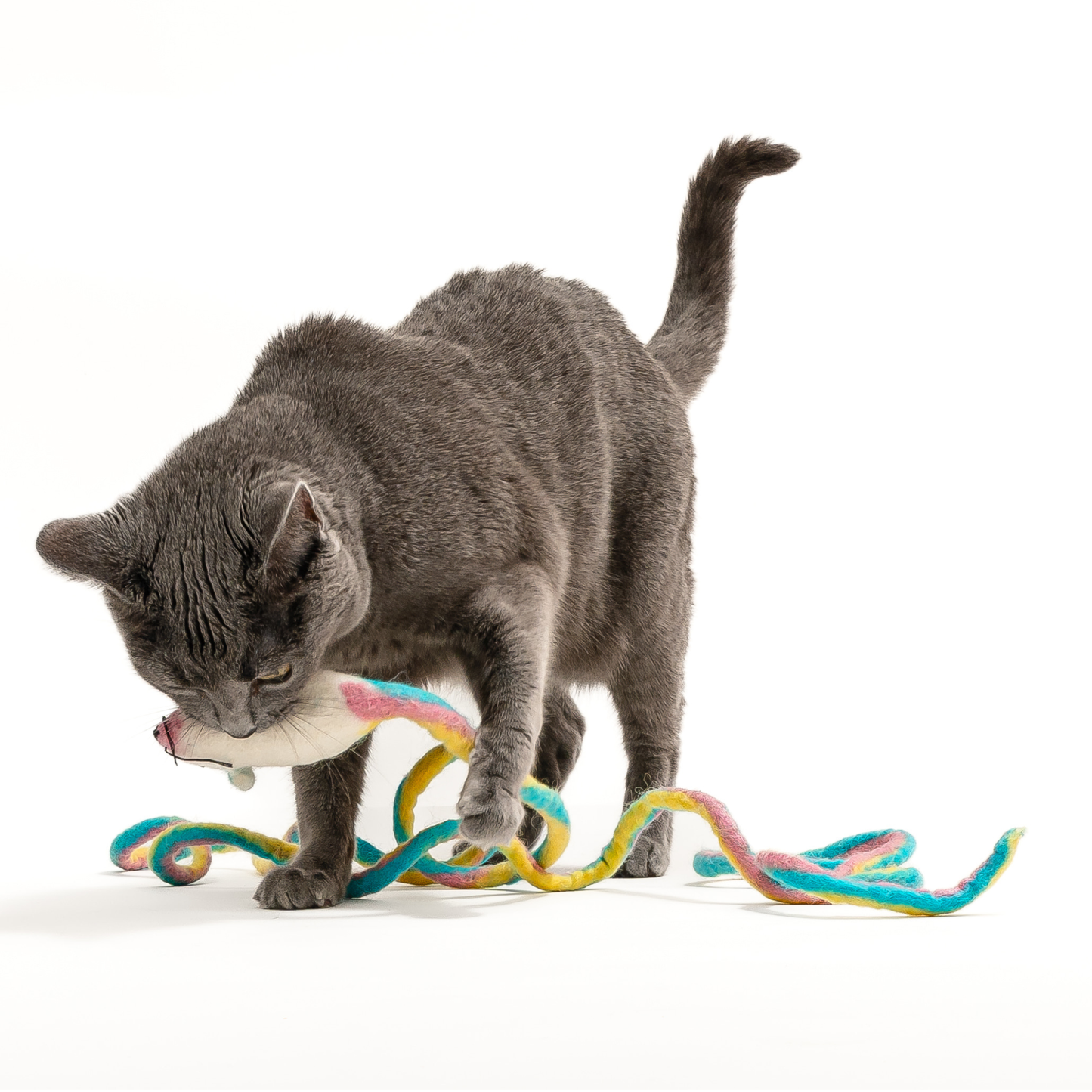 Wool Mouse Cat Toy 6-Foot-Tail - red rainbow unicorn dragon