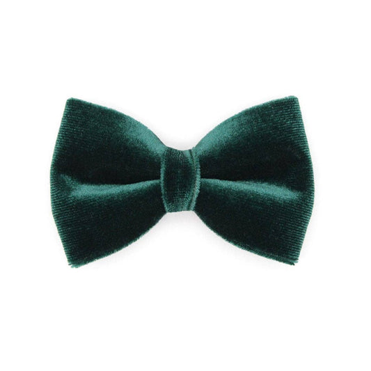 "Velvet - Hunter Green" Bow Tie for Cats