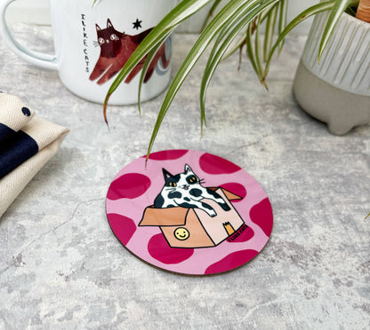 Funny Cat in a Box Drinks Coaster