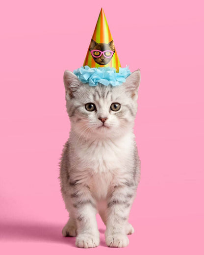 Cat Mini Party Hats Stripes