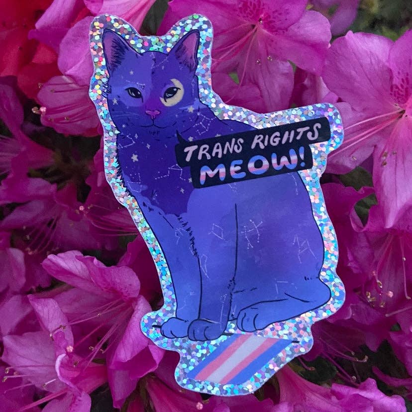 Trans Rights Meow! - Sticker (Glitter)