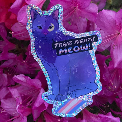 Trans Rights Meow! - Sticker (Glitter)