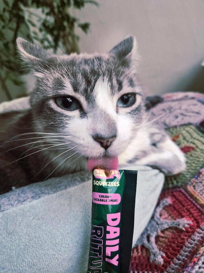 HOLY CAP Squeezees (CAT) Daily Ritual Lickable Treats, 5pc