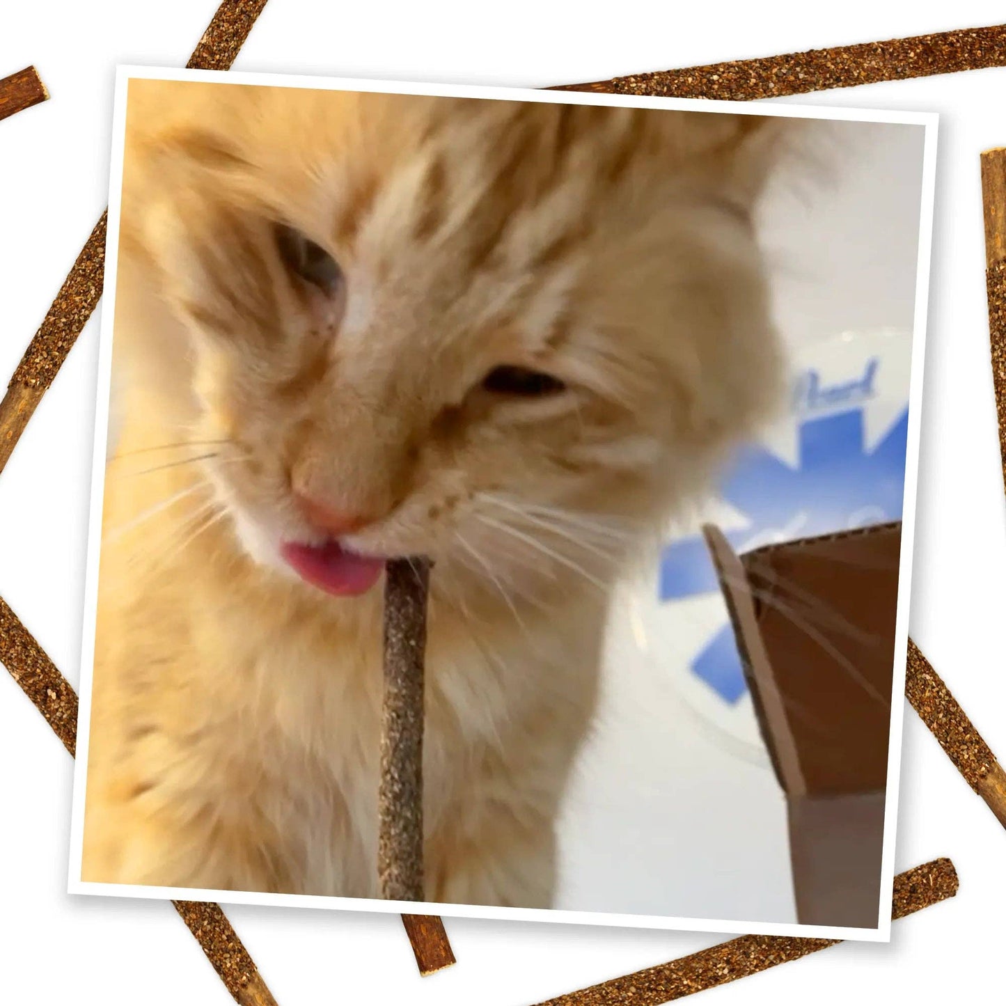 Meowijuana Silvervine Fruit Sticks