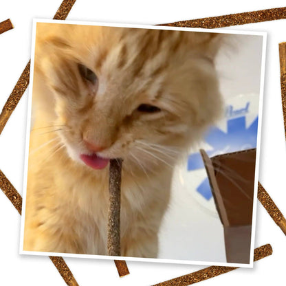 Meowijuana Silvervine Fruit Sticks