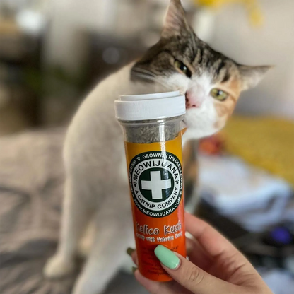 Kalico Kush - Valerian Root and Catnip Blend