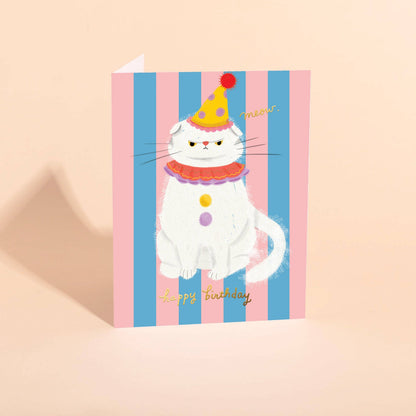 CLOWNY CAT