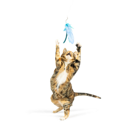 Teaser Kitty Loco Cat Wand
