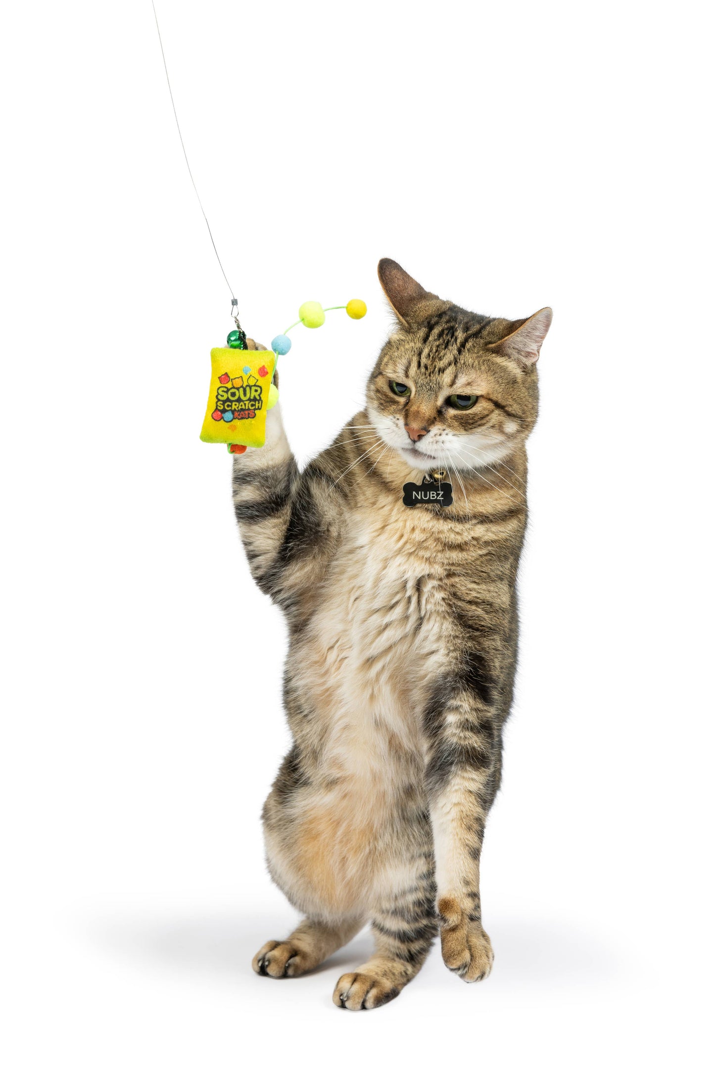 Huxley & Kent - Teaser Sour Scratch Wand Cat Toy