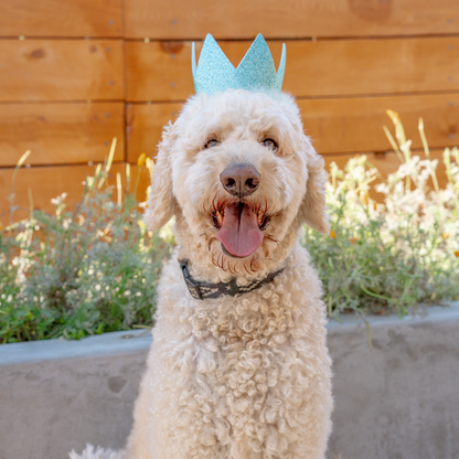 Party Crown Blue with SnugFit®