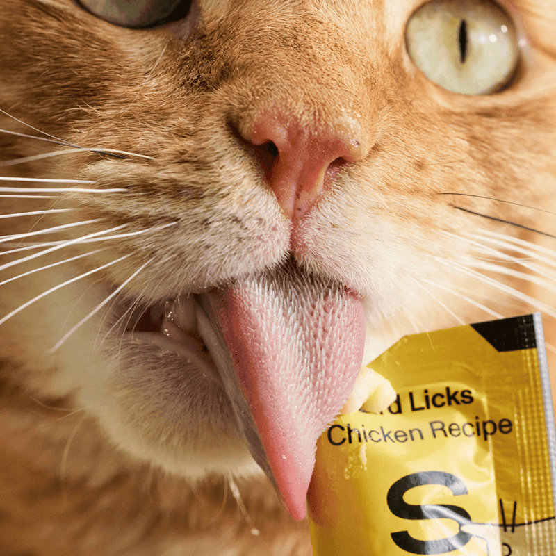 👅 Bird Licks Supports Digestion - Chicken (8 count)