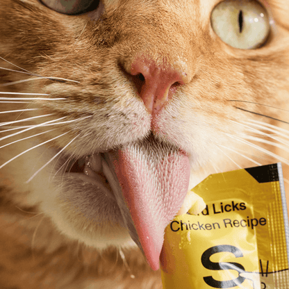 👅 Bird Licks Supports Digestion - Chicken (8 count)