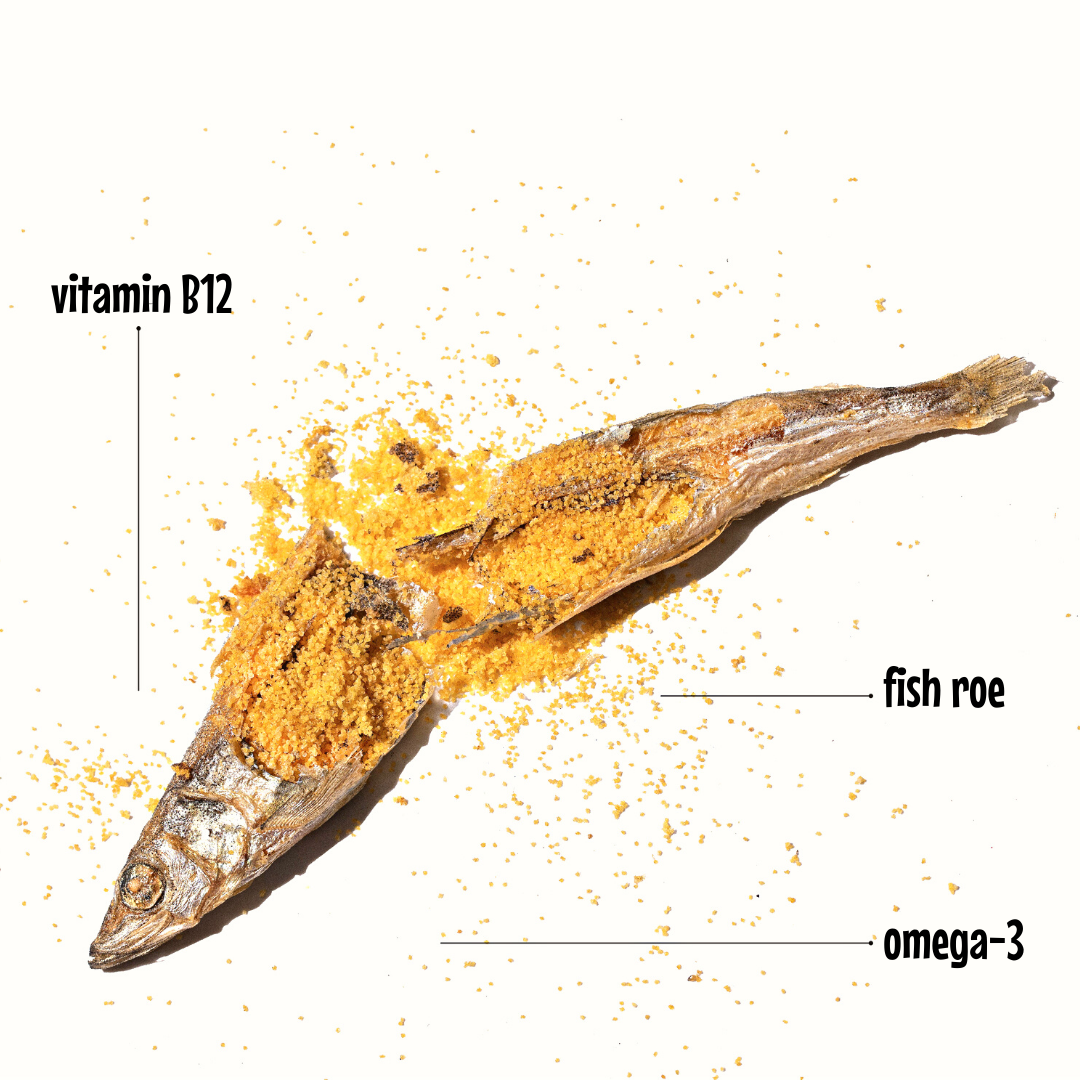 Arya Sit! - Freeze-Dried Capelin