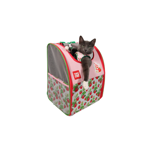 Travel Cat Wholesale - Strawberry Shortcake x Travel Cat Backpack - Officially Licensed