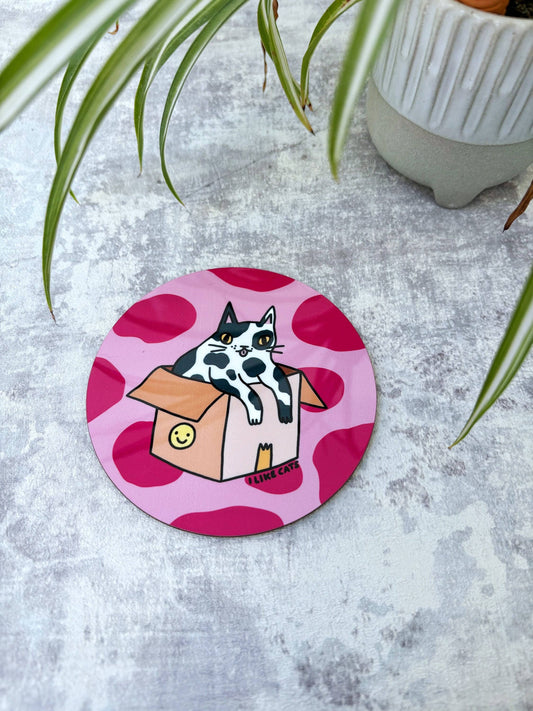 Funny Cat in a Box Drinks Coaster