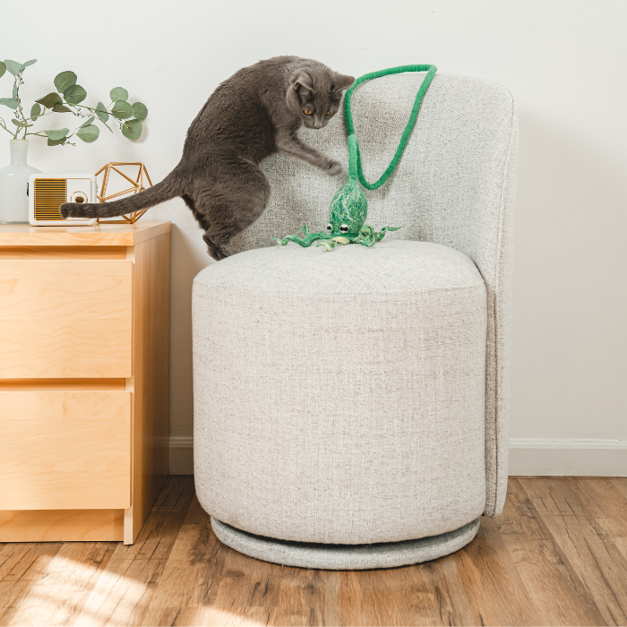 Wool Octopus Cat Toy with 4-Foot Tether - blue, green