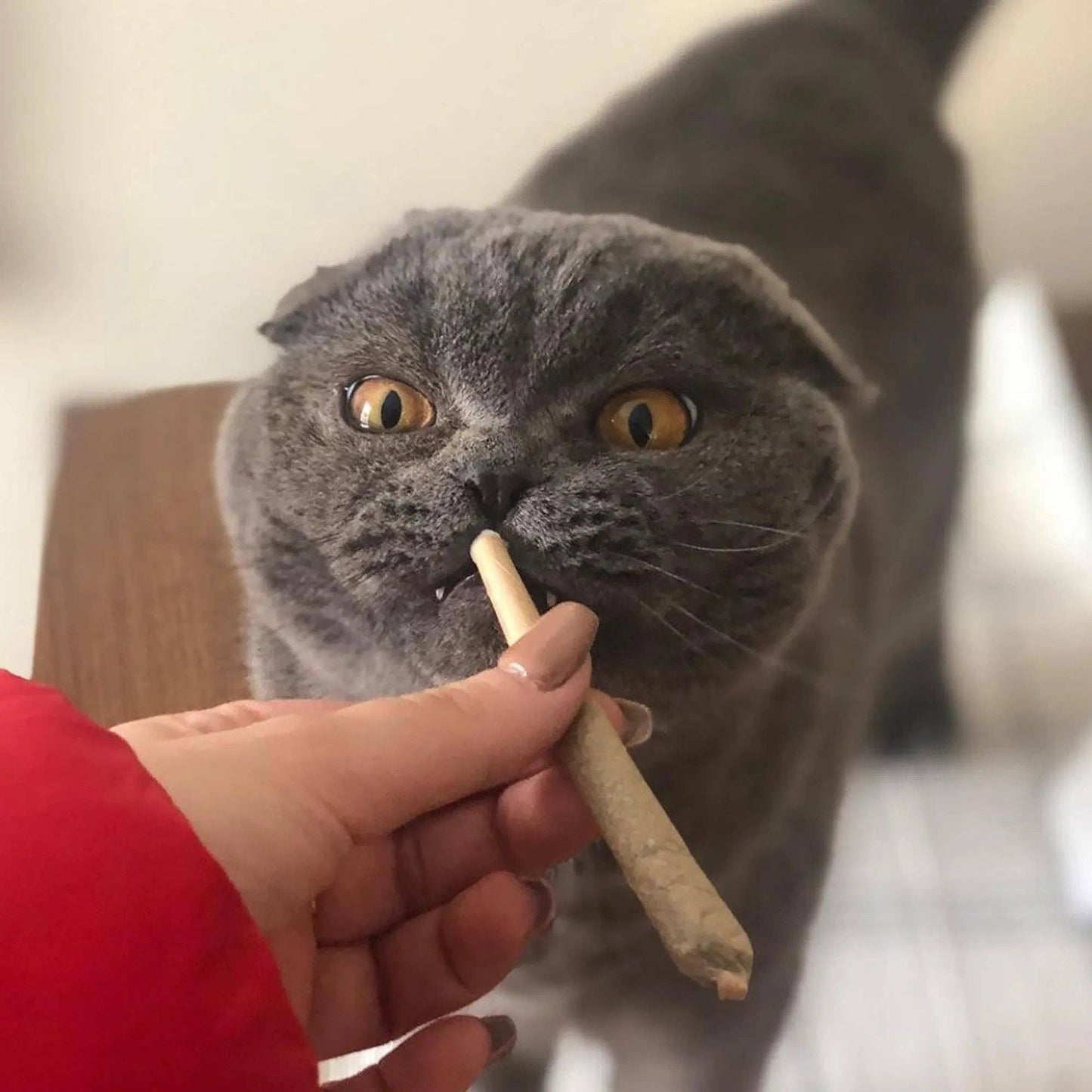 Meowijuana® Catnibas® King Size Rollies