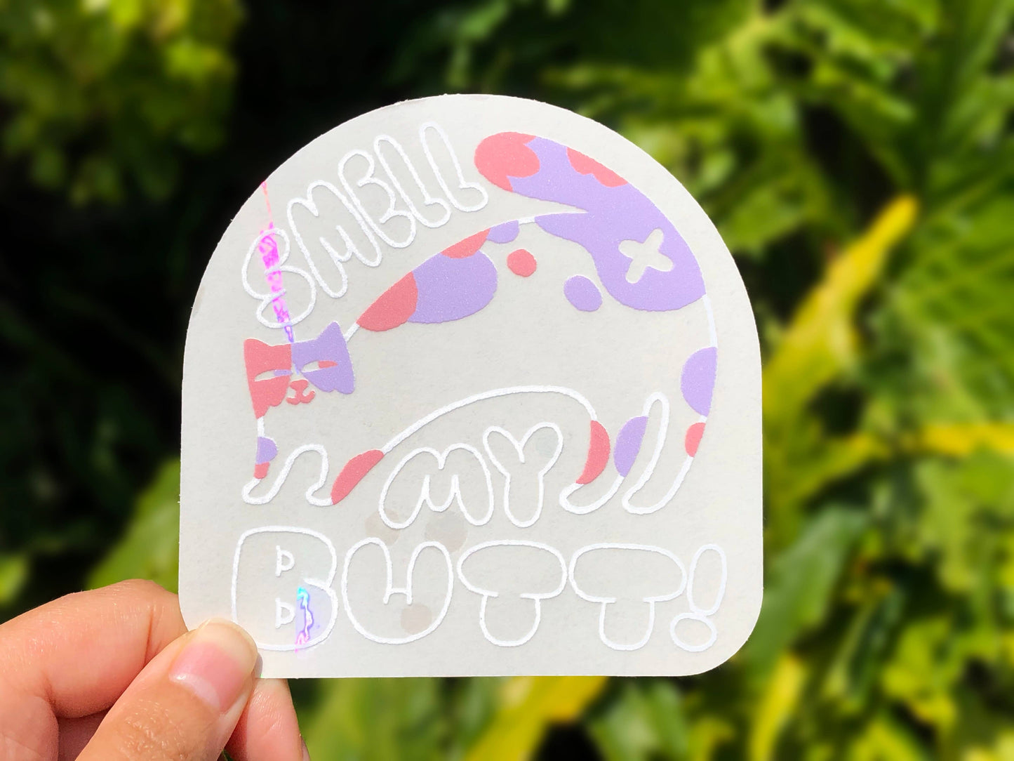 Smell My Butt Cat | Suncatcher Sticker | Rainbow Decal