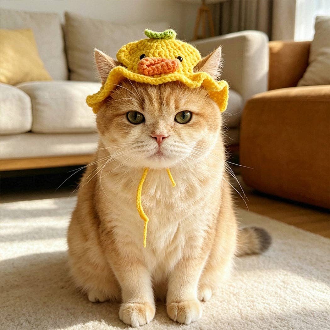 Playful Pet Tie Straps Hat