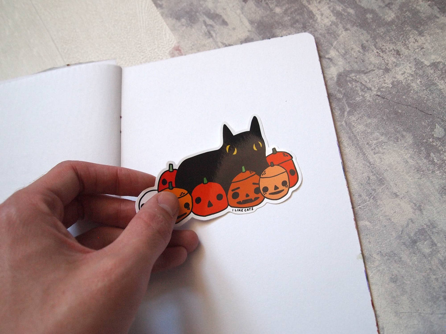 Black cat with pumpkins illustrated vinyl sticker