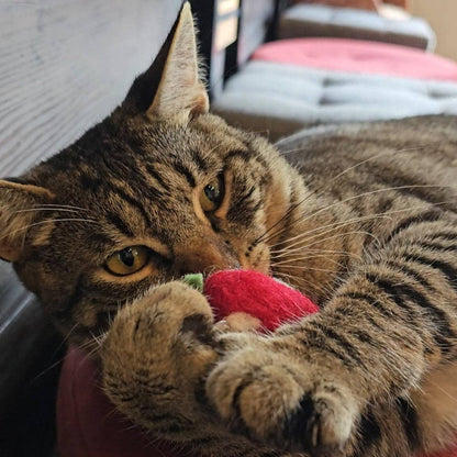 Strawberry Felt Kicker Cat Toy