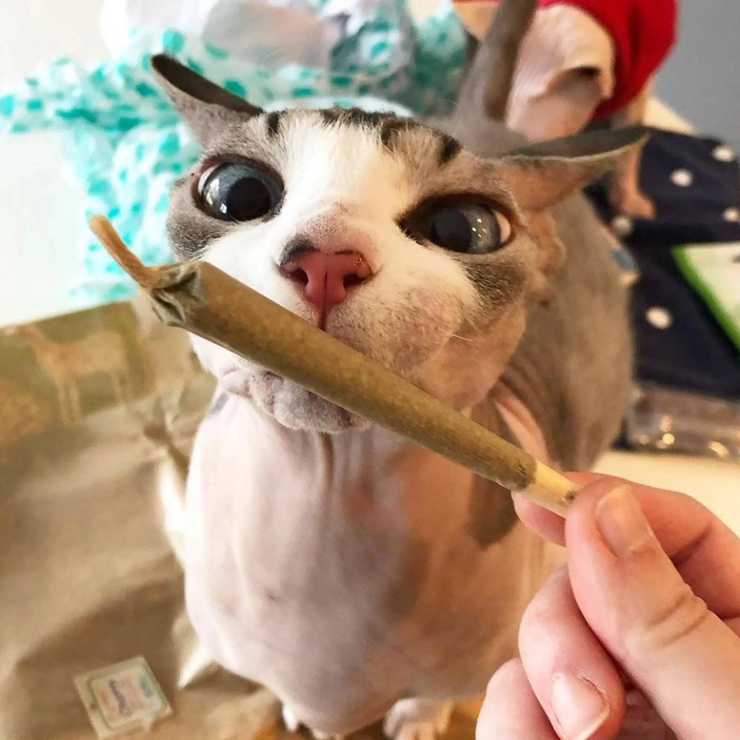 Meowijuana® Catnibas® King Size Rollies