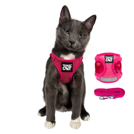 "The Purrfectly Pink" Iridescent Harness & Leash Set