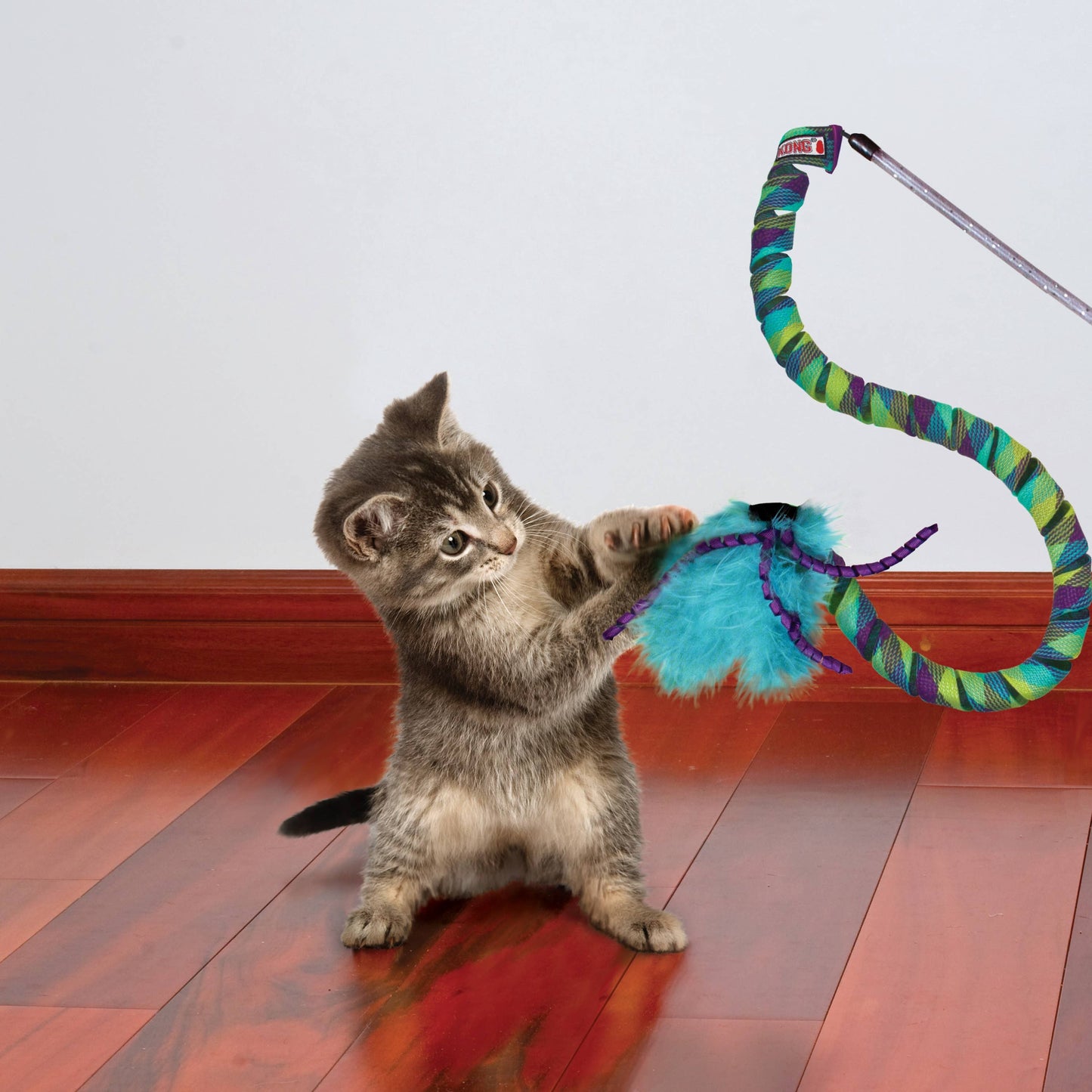 Pet Palette Distribution - KONG® Teaser Curlz Cat Toy
