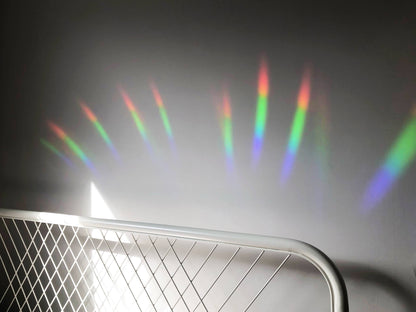 Smell My Butt Cat | Suncatcher Sticker | Rainbow Decal