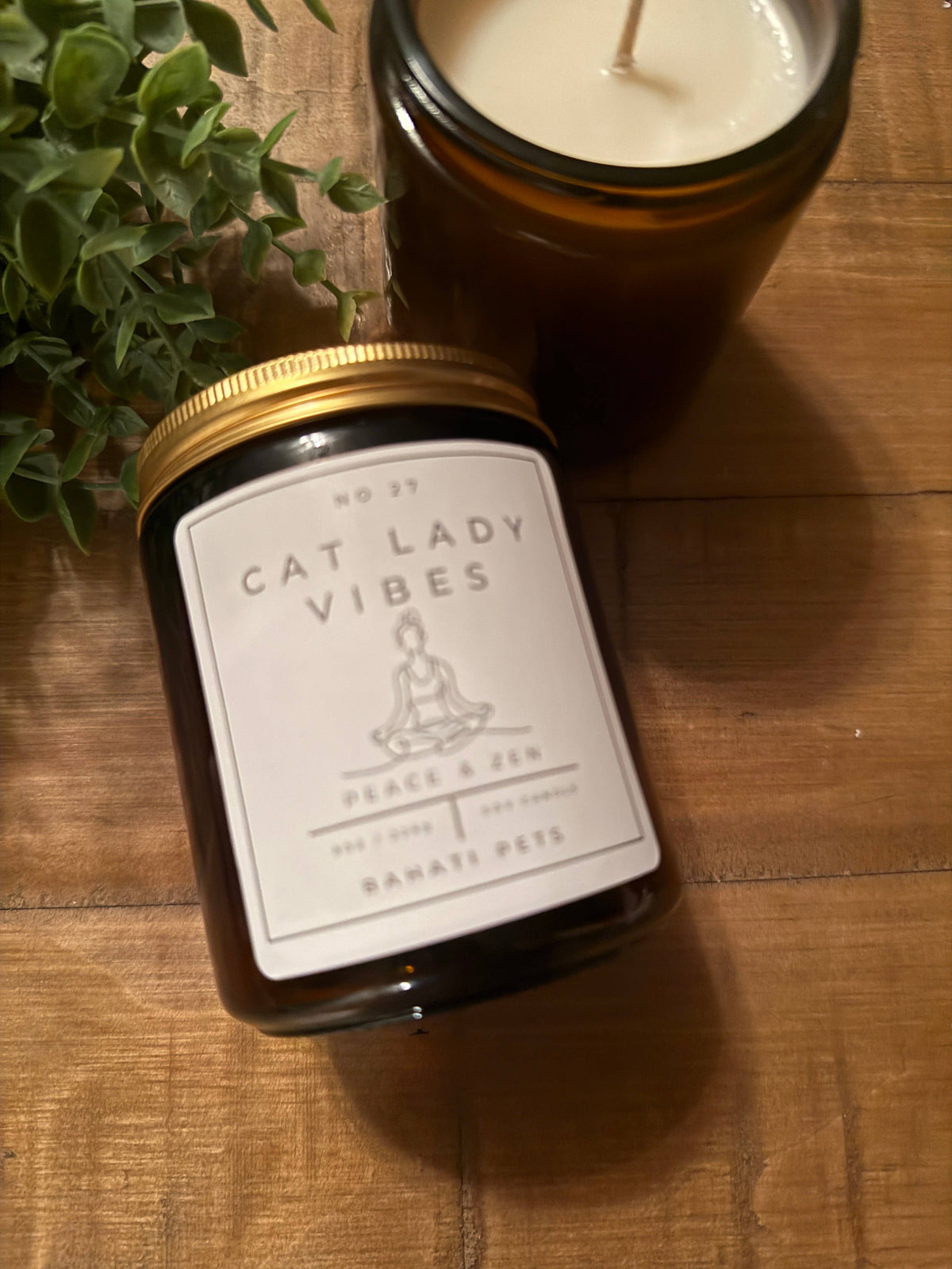 Cat Lady Vibes 8-ounce 100% Soy candle