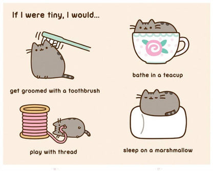 I Am Pusheen the Cat by Claire Belton