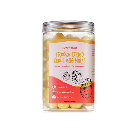 Freeze Dried Quail Egg Yolk Cat Treats
