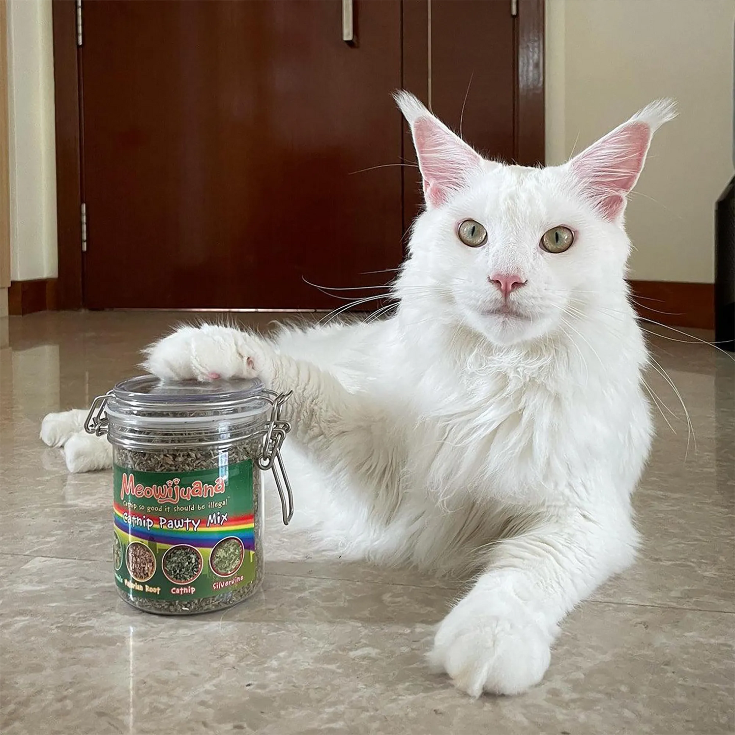 Meowijuana® Jar of Catnibas® Catnip Pawty Mix