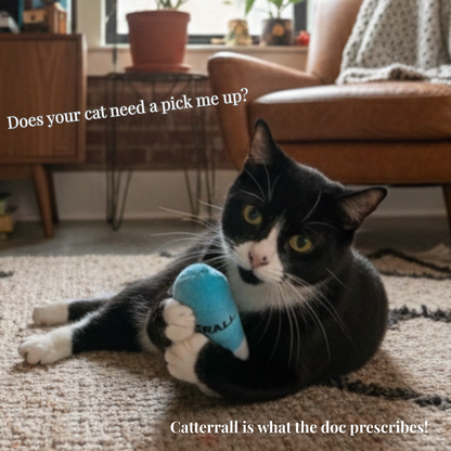 Catterall Catnip Filled Mini Kicker Toys (4 in a pack)