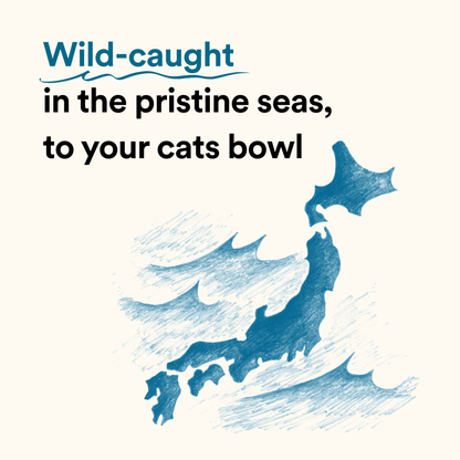 Bonito House - Umami Meal Topper: Bonito Flakes for Cats and Dogs