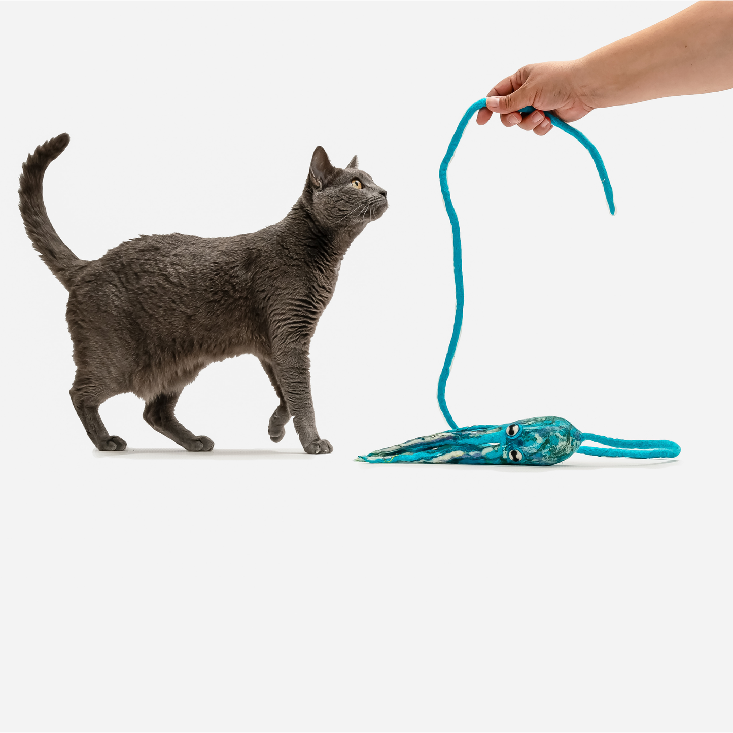 Wool Octopus Cat Toy with 4-Foot Tether - blue, green