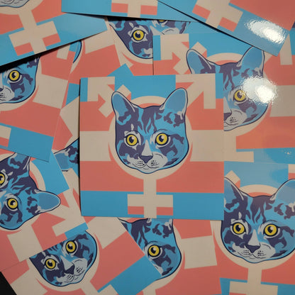 Trans Cat 4" Gloss vinyl