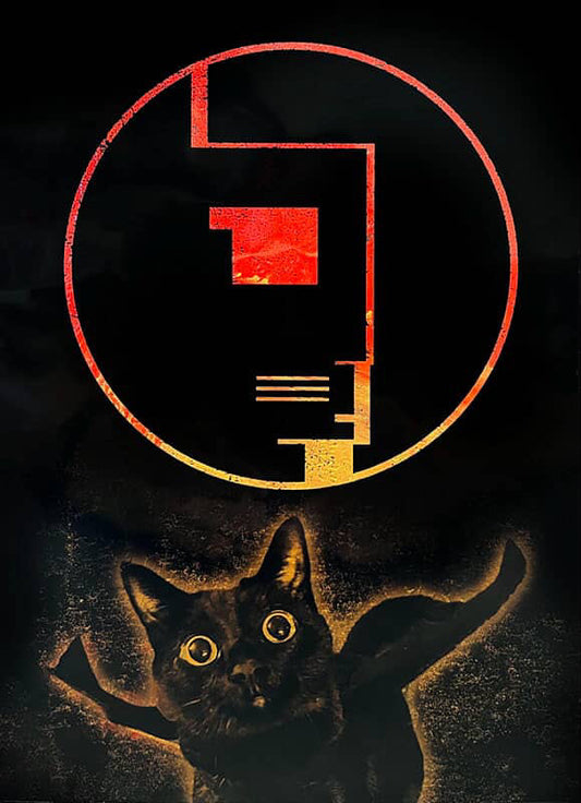 Bela Lugosi’s Cat by Stephanie Han