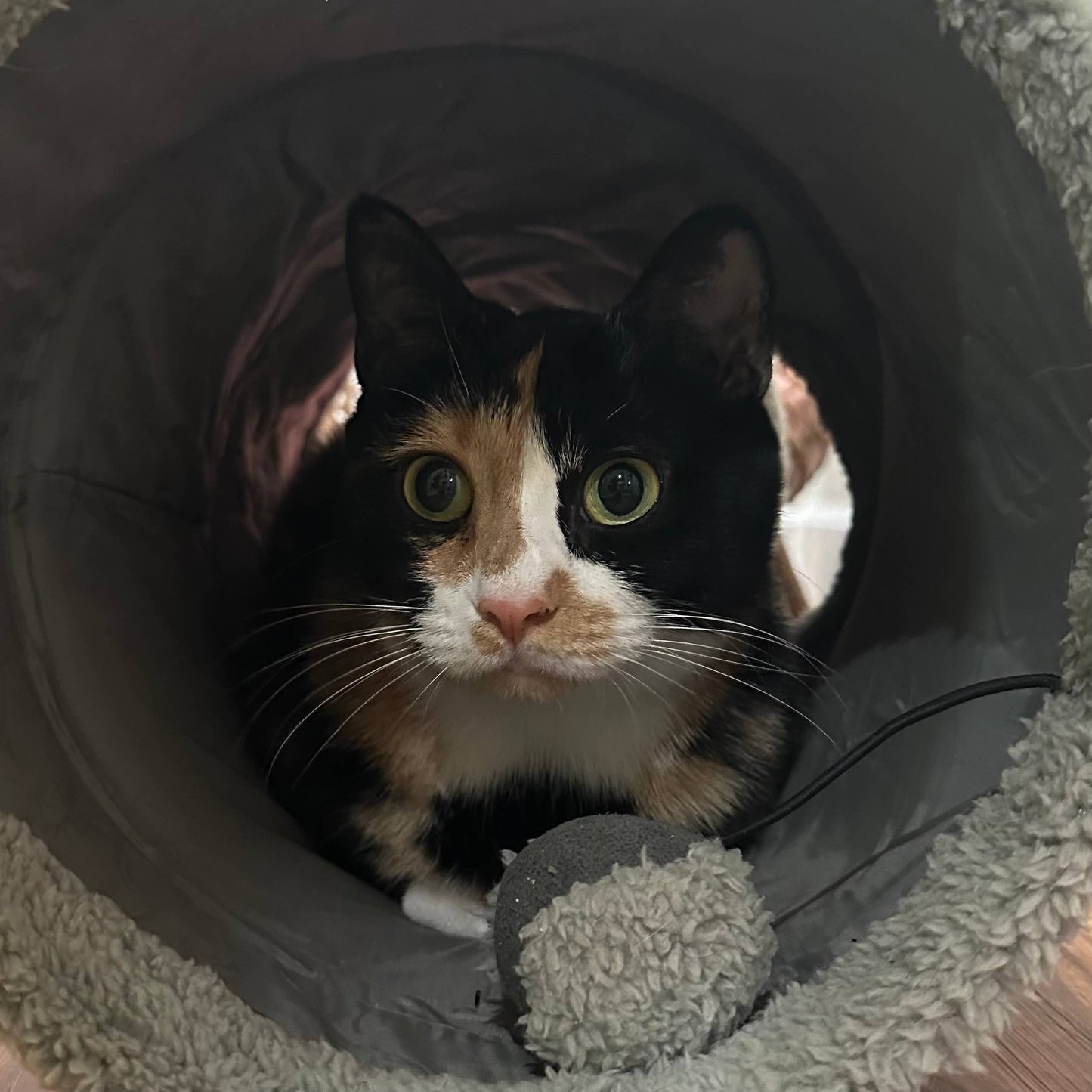 My Girl Lollipop 8-ounce 100% Soy candle