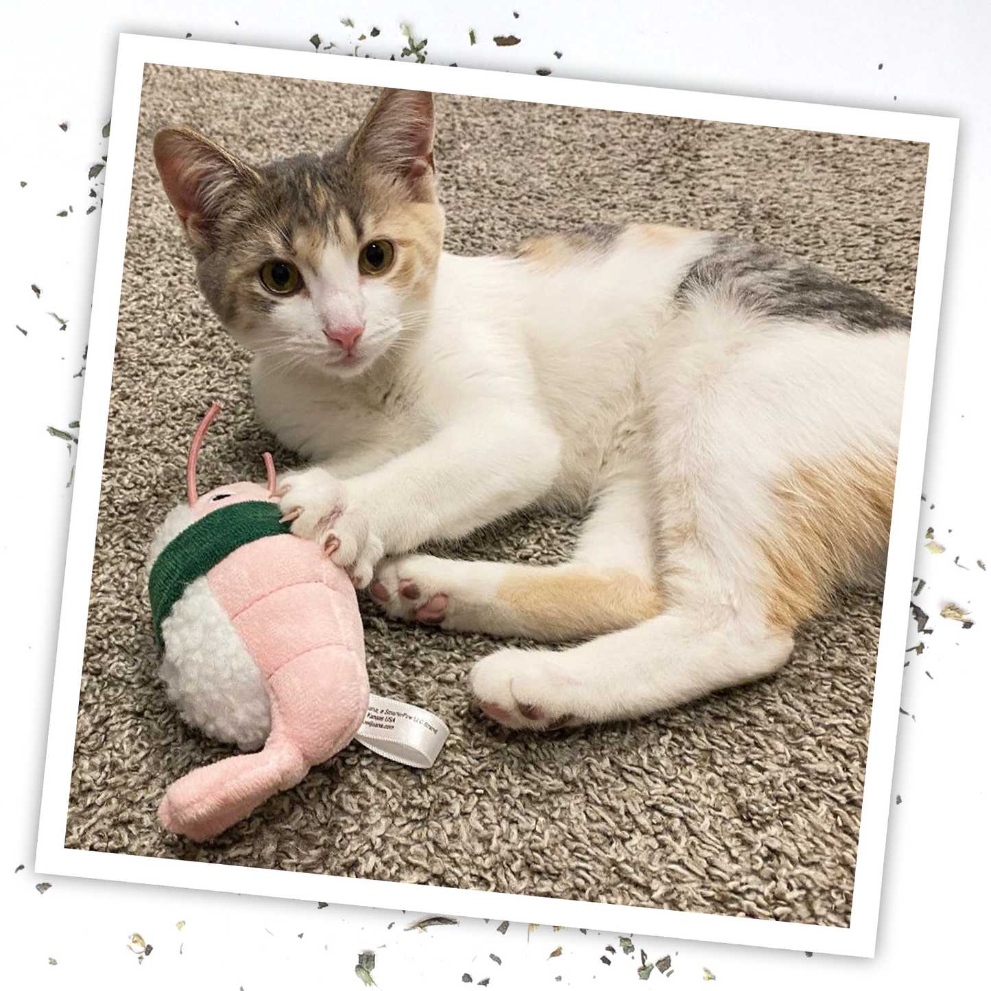 Get Wrapped Shrimp Sushi Roll Refillable Catnip Cat Toy