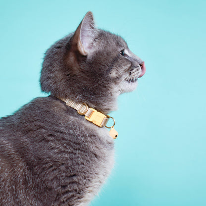 Breakaway Cat Collars