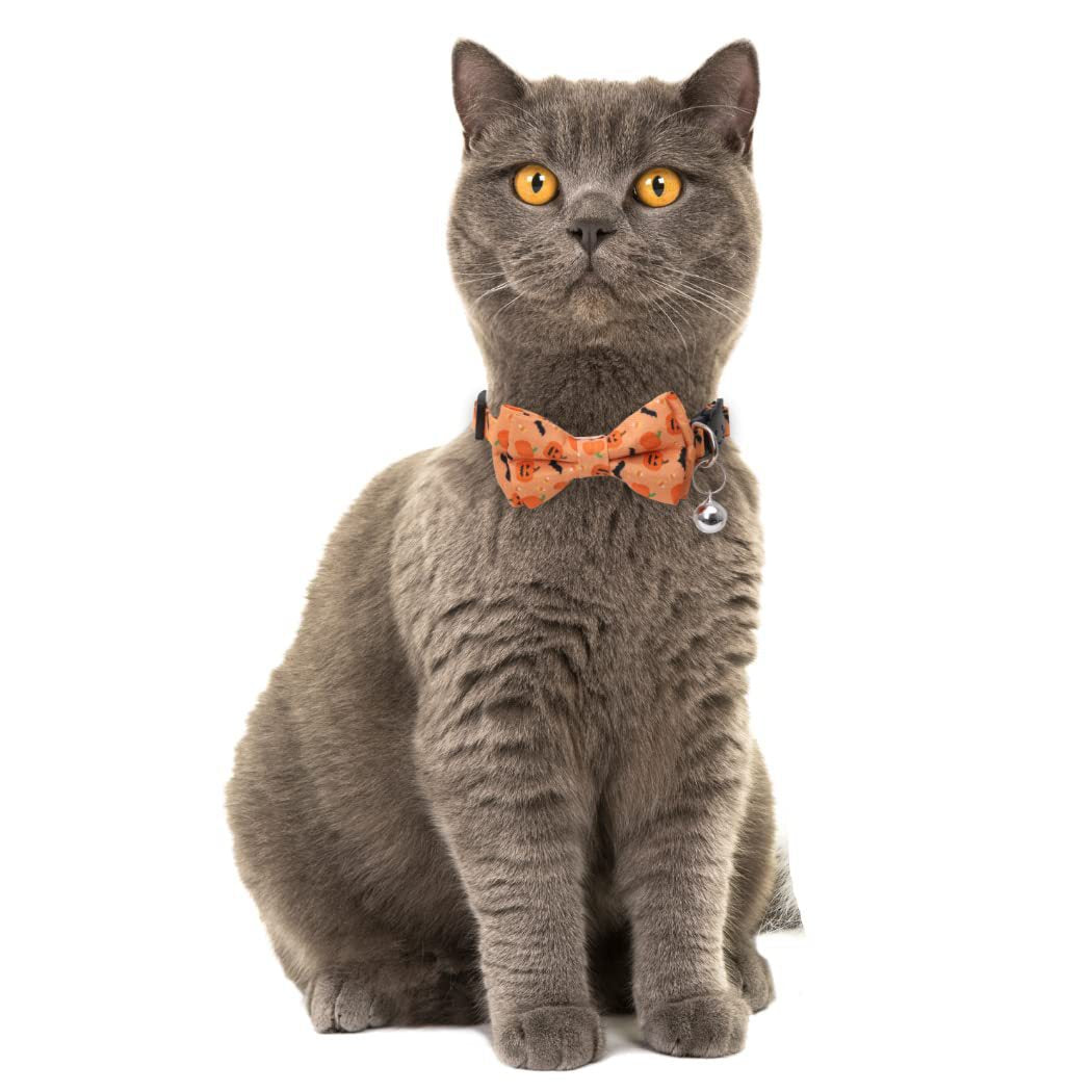 Halloween Breakaway Cat Bowtie Collar